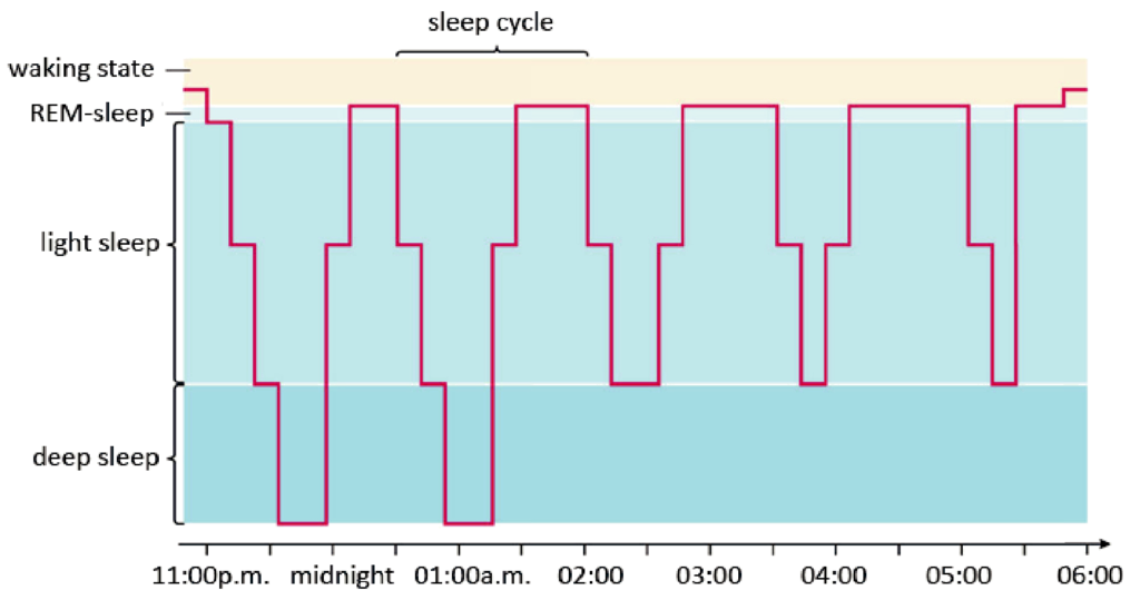 Sleep cycle. Rem phase. Rapid Eye Movement закалённый. Sleep Wake Cycle. Light Sleep Deep Sleep and the Rem phase.